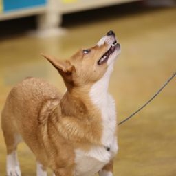 photograph by PeterW